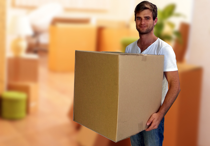 Online Logistics Packers and Movers Tada